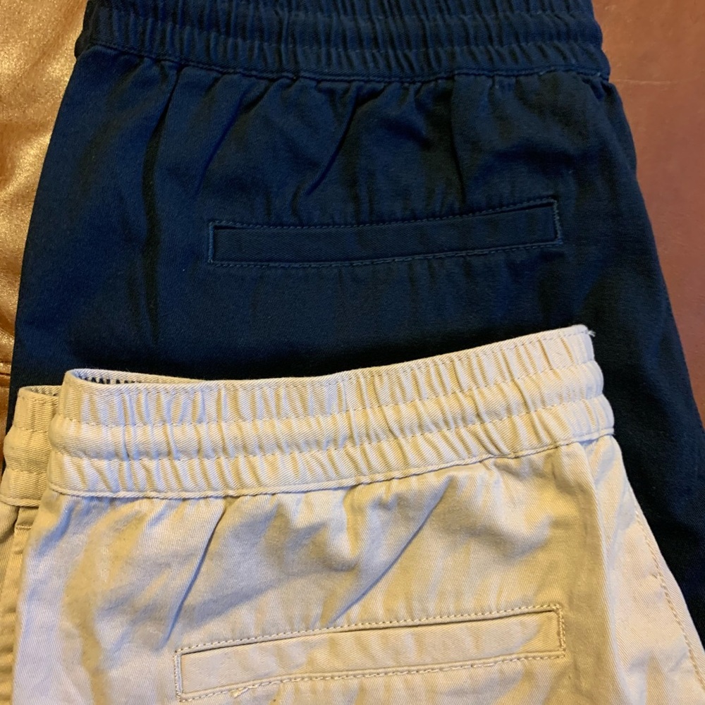 PacSun Twill Drawstring Shorts L (2 Pair) NWOT